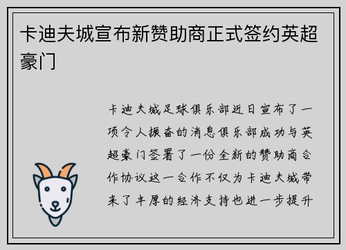 卡迪夫城宣布新赞助商正式签约英超豪门